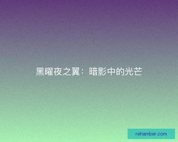 黑曜夜之翼：暗影中的光芒