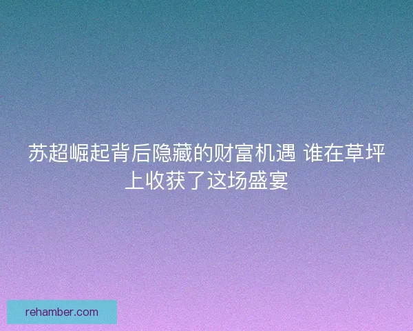 苏超崛起背后隐藏的财富机遇 谁在草坪上收获了这场盛宴